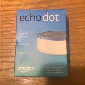 Echo dot 2nd generation.